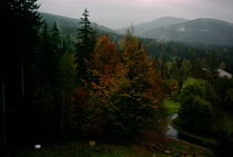 Herbstbild aus dem Böhmer Wald von Antje Emanuel