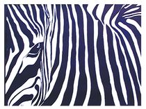 Zebra von Theodor Fischer