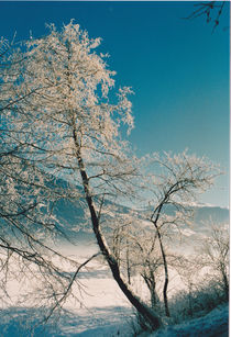 winterlich by Raingard Göbel