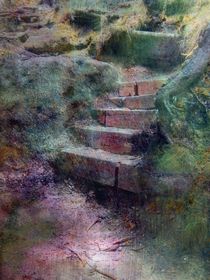 Treppe im Wald von claudiag