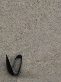 schwarze Muschelschale im Sand von Nils Grund