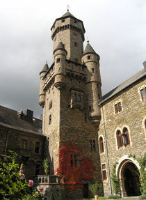 Schloss Braunfels by mago