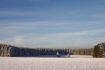 Winterlandschaft by Daniel Kühne