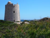 Torre de Ibiza II von Alwin Mücher