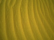 Golden Sand by Michael Beilicke