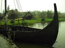 Viking von Michael Beilicke