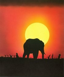 Elefant vor Sonnenuntergang von Sun Dream