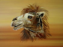 Kamel by Conny Krakowski