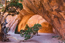Navajo Arch by Ulf Jungjohann