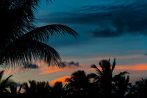 Palmen nach Sonnenuntergang in der DomRep by frederic