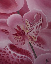 Orchidee II by Sabrina Hennig