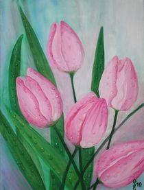 Tulpen by Sabrina Hennig