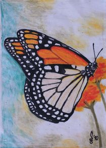 Monarchfalter by Sabrina Hennig