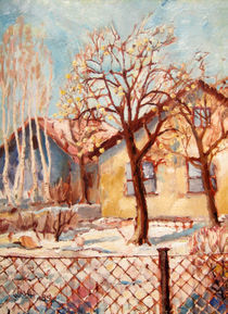 Äpfel am Baum im Winter by Diethard Wahl