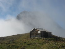 Hütte im Nebel von Susanne Winkels