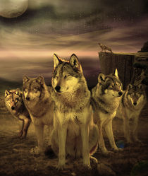 Wolves at Night von Ahmed Nassar