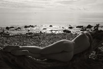 Strandgut II von drachenphoto