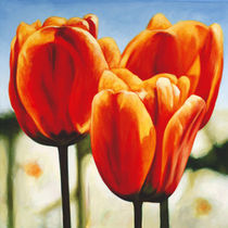 Rote Tulpen von Klaus Boekhoff