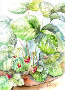 Erdbeeren by Dorothea "Elia" Piper