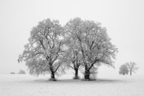 Winterlandschaft von Michael S. Schwarzer