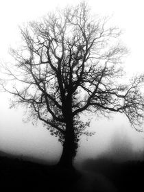 Nebel des Grauens von Eva-Maria Oeser
