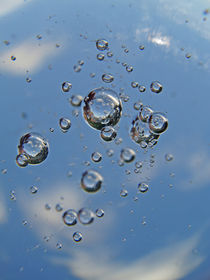 Bubbles von Diana Wolfraum