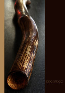 Didgeridoo by pichris