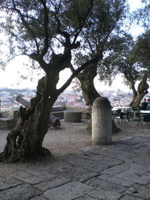 Lissabon, Blick von der Festung