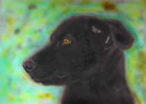 Hündin Xena - The Dog von ropo13