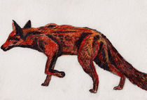 Zeichnung Fuchs by Wildis Streng