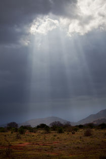 Wolken über Tsavo-Ost von safaribears