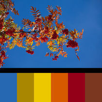 Colours of Autumn von safaribears