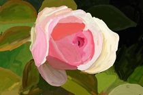 rosa von Andrea Meyer