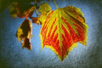 Herbstzeit von Andrea Meyer