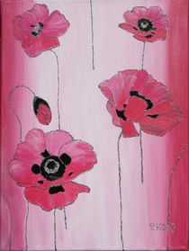 Pink poppy by Petra Koob