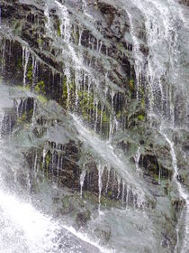Wasserfall von regenbogenfloh