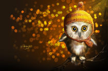 'OWL' von Fernando Rodriguez