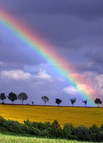 rainbow von Wolfgang Dufner