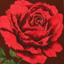 Rose von Michaela Hübner
