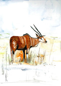 Antilope by Annegret Hoffmann