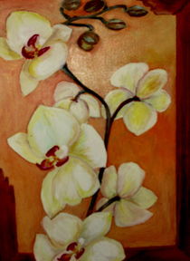 Orchideen by ERIKA FUSS