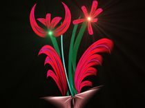 Blume des Lichts by Stefan Wilhelm