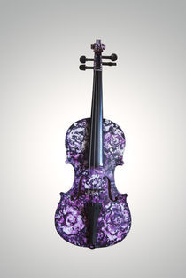 Violine 'Magdalenenrose' by Elena Beresnjak