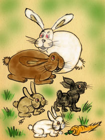 Happy Rabbits by Norbert Hergl