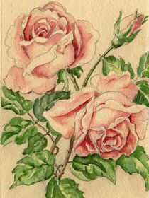 Rose Original by Norbert Hergl