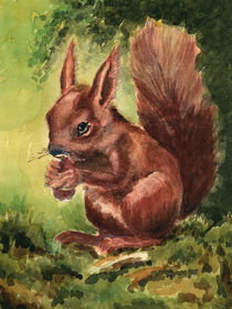 Eichhörnchen by Norbert Hergl