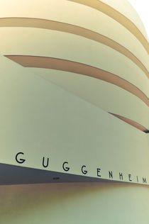 Guggenheim Museeum by Frank Walker