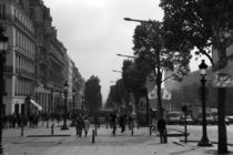 Champs Elysees by Frank Walker