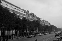Champs Elysees in Paris by Frank Walker