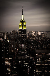 Empire State Building bei Nacht von Frank Walker